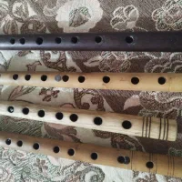 بالابان و دودوک حرفه ای