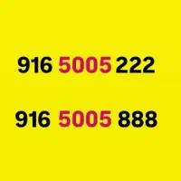 0916-5005-888