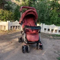 کالسکه و کریر برزنتی مارک دلیجان