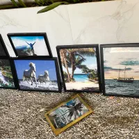 فروش‌فوری تابلوهای فنگشویی برای ثروت و‌برکت منزل