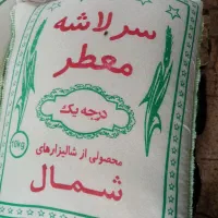 برنج سرلاشه به قیمت دولتی