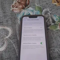ایفون ۱۳ نرمال|موبایل|قم, چهل درخت‎|دیوار