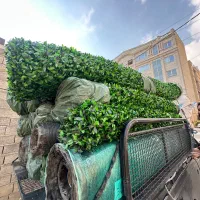 انبار مرکزی چمن مصنوعی و فنس برگ ریحون و گرینوال|مصالح و تجهیزات ساختمان|تهران, جوانمردان (اندیشه)|دیوار