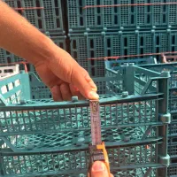 وین پلاست تولید کننده سبدمیوه|ظروف نگهدارنده، پلاستیکی، یکبارمصرف|هشتگرد, تهران دشت|دیوار