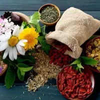 کار آنلاین ویژه بانوان خانه دار