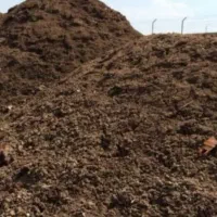 کود مرغی بوقلمون