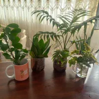 گروه خرید وفروش کرمانشاه