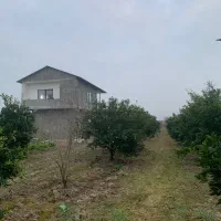 فروش-باغ