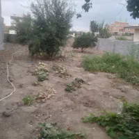 فروش-زمین