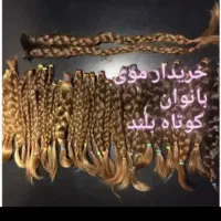 برای اولین بارخدمات کوتاهی مو ۲۶تا ۴۹سانت خام|خدمات آرایشگری و زیبایی|اهواز, زیتون کارمندی|دیوار
