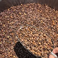 پخش قهوه به قیمت کارخانه
