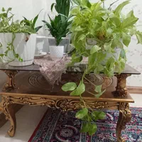 مبل سلطنتی ۷ نفره روکش دار همراه با میز وسط|مبلمان خانگی و میز عسلی|لاهیجان, قیام|دیوار
