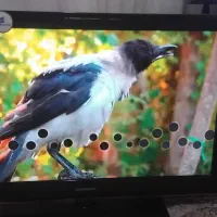 تلویزیون سامسونگ ۴۰ اینچ مناسب دوربین و باغ