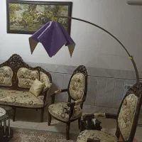 آباژور ایستاده سالم