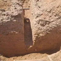اجاره بیل بکهو|خدمات حمل و نقل|بهارستان, |دیوار