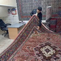 9متری کرمان قلم(نو)مارک یاسین زاده|فرش|خوی, |دیوار