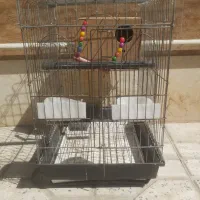 قفس پرنده