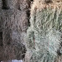 یونجه|لوازم جانبی حیوانات|اسدآباد, |دیوار