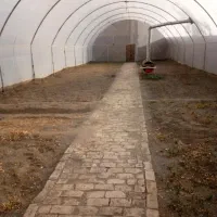 گلخانه