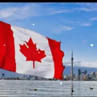 مشاوره و صدور  تمکن و گردش حساب برای سفارتها