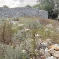 املاک . زمین