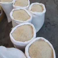 برنج هاشمی مغان و دره رود