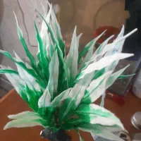 سبزه اکواریوم