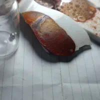 فروش بوته  شکسته و جیوه