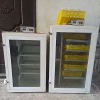 جوجه کشی  ‌‌‌‌‌‌‌‌‌