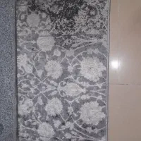 پادری|پادری|رشت, توشیبا|دیوار
