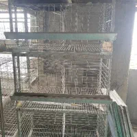 قفس مرغ تخمگذار|لوازم جانبی حیوانات|نکا, |دیوار