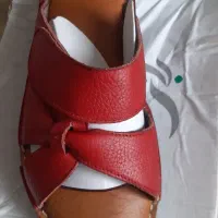 دمپایی ۳۹