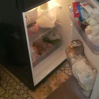 یخچال مینی هیتاشی|یخچال و فریزر|چغادک, |دیوار