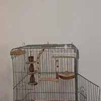 قفس