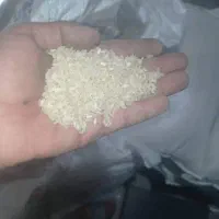 برنج اصل کامفیروز به شرط|عمدهفروشی|کامفیروز, |دیوار