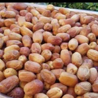 خرمای کبکاب اصل بهبهان وخرمای زاهدی وخاصی و ‌پیارم|خوردنی و آشامیدنی|اهواز, شهرک نفت|دیوار