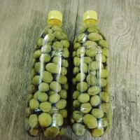 زیتون شور، روغن زیتون طبیعی، خیارشور ترشی