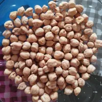 نخود|خوردنی و آشامیدنی|شیرین‌سو, |دیوار