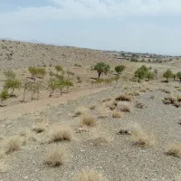 سه هزار متر زمین|فروش زمین و ملک کلنگی|سبزوار, کراب|دیوار