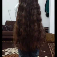 بدون واسطه اصلی