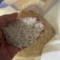 فروش برنج هندی وپاکستانی با فروش اعتباری