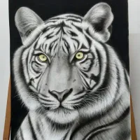تابلو طراحی با سیاه قلم