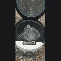 پلوپز .سرخ کن 8کاره