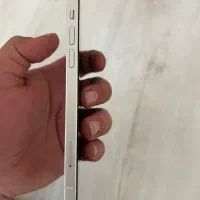 ایفون ۱۲|موبایل|سهند, |دیوار