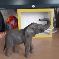 فیگور حیوانات|کلکسیون و سرگرمی|قائمشهر, |دیوار