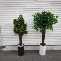 درختچه خارجی مصنوعی|گل مصنوعی|قم, نیروگاه|دیوار