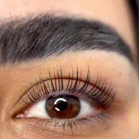 آموزش حرفه ای و صفرتا صد لیفت و لمینت مژه وابرو|خدمات آموزشی|امیدیه, |دیوار