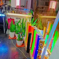 تابلوسازی و چاپ تبلیغات کیش صمدانی|خدمات پیشه و مهارت|کیش, |دیوار