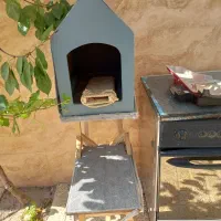 خانه‌ سگ و پت