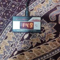 کپسولco2 با مانومتر برقی|ماهی|اردبیل, |دیوار